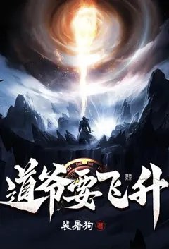 道爷要飞升